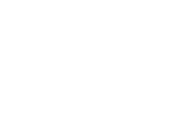 bra_flag