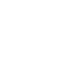 icon-rodoviario